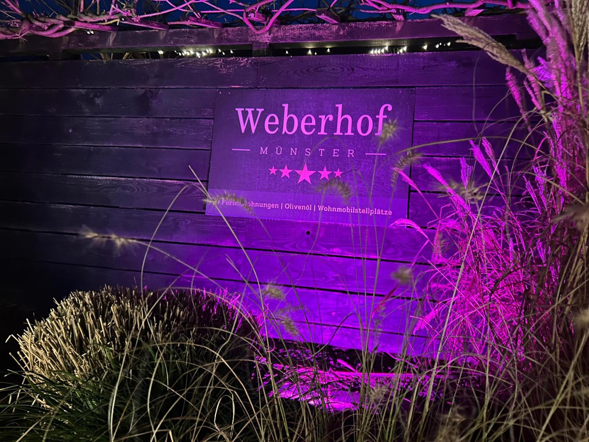 Ferienwohnung Weberhof - Muenster Exterior foto